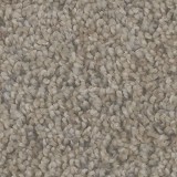 Phenix CarpetsDolce